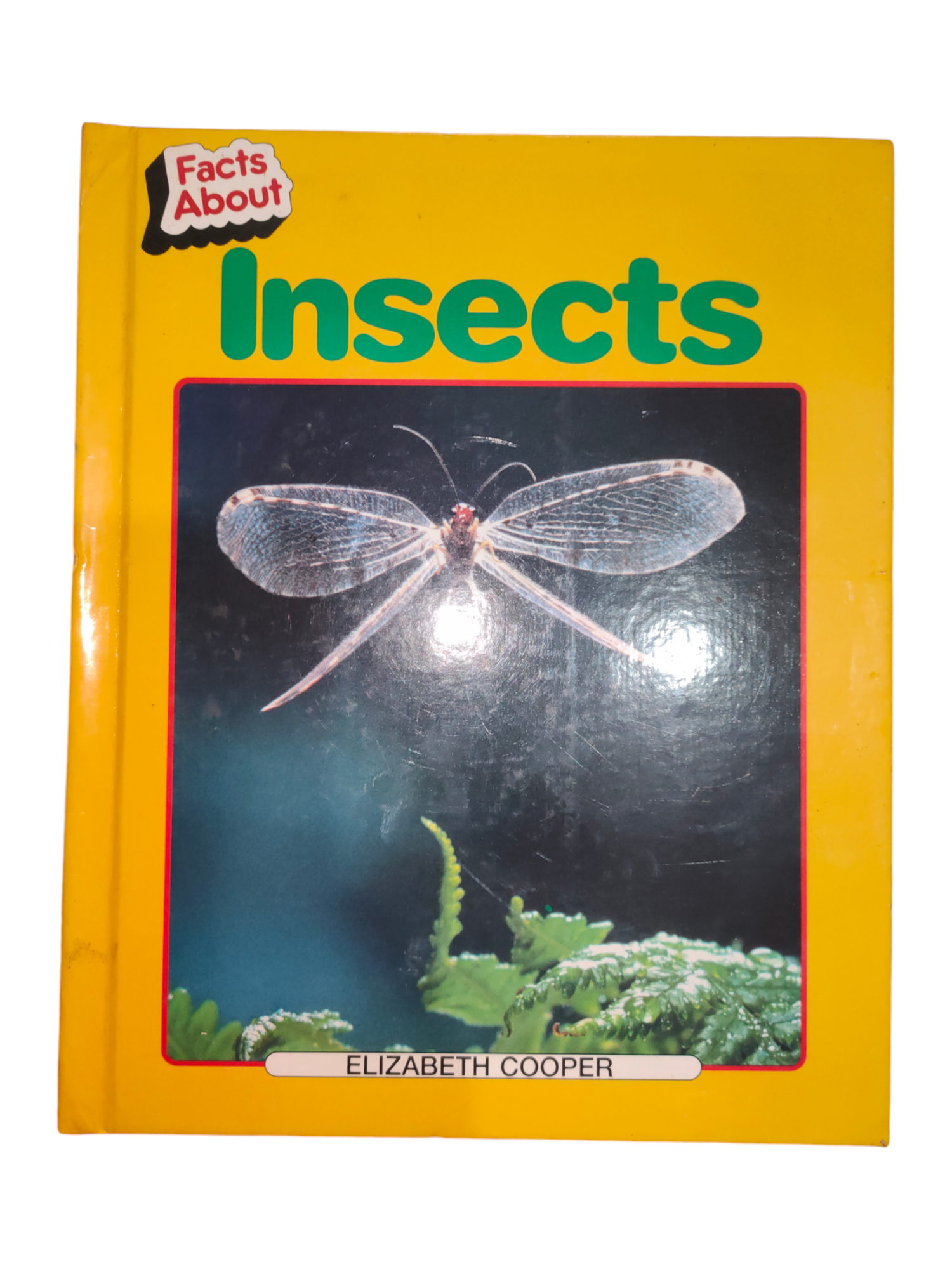 07b5c444 8a58 4043 8b20 f67962ecd73e.png 07b5c444 8a58 4043 8b20 f67962ecd73e.png