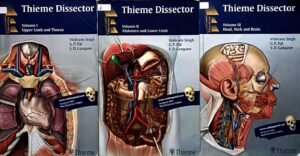 09e7b898 544e 46eb bfad fb69951901ae.jpg