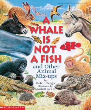 12feae42 92f7 4355 bd6f 60b8fb0827f5.jpg