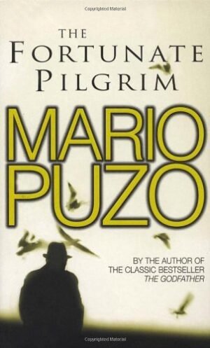 2f7413f9 1ae9 4b84 829c f939b467e917.jpg