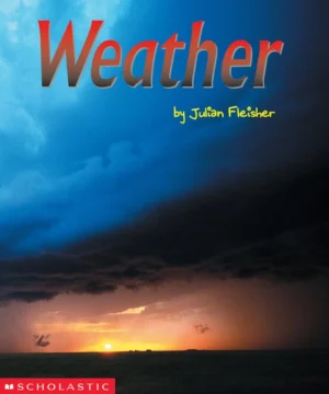 3da481fe 3729 4c95 bc93 acff97f343af.webp