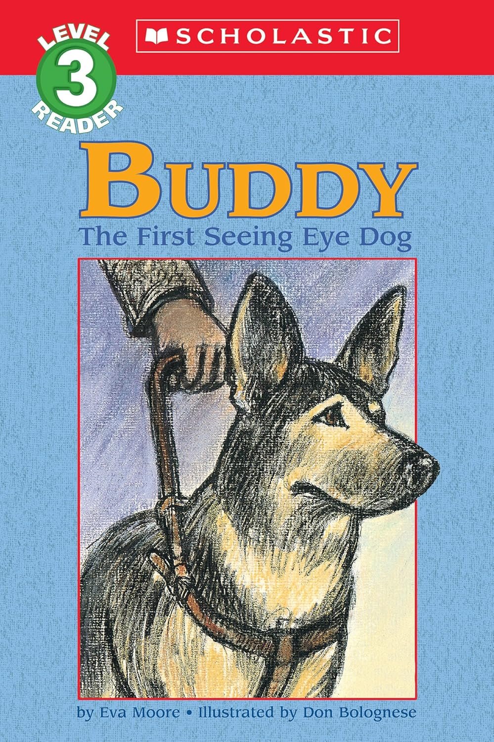 3fd002d7 49fc 4c82 9599 fdf0bf5b132e.jpg 3fd002d7 49fc 4c82 9599 fdf0bf5b132e.jpg