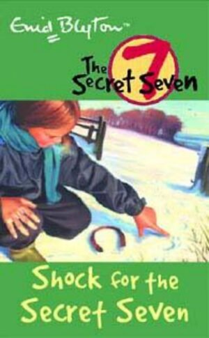 secret seven: 13: shock for the secret seven by enid blyton