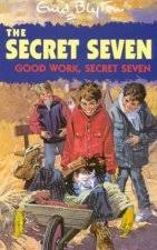 secret seven:09: secret seven mystery (copy)