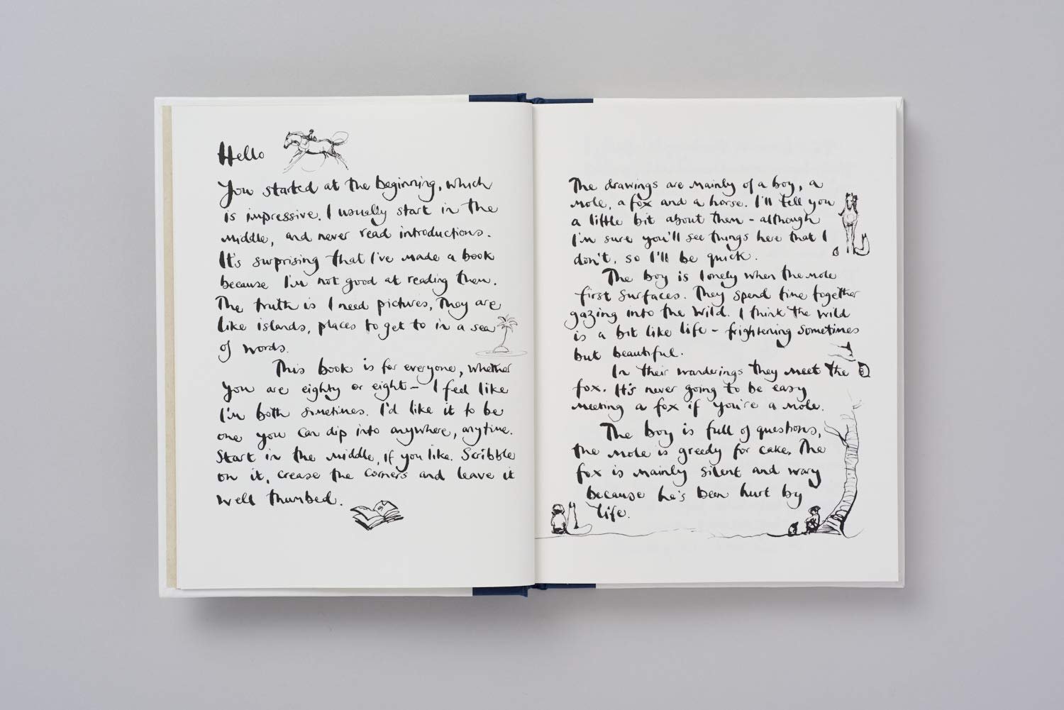 the boy, the mole, the fox and the horse hardcover by charlie mackesy the boy, the mole, the fox and the horse hardcover by charlie mackesy