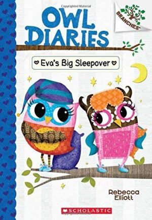 owl diaries #8: eva and the lost pony by rebecca elliott (copy)