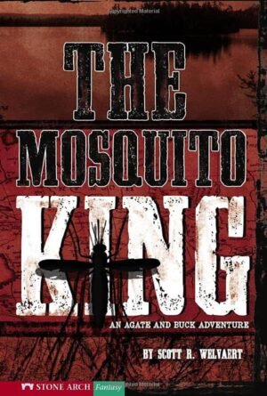 big bully and m me (hole books) by shals mahajan (copy)