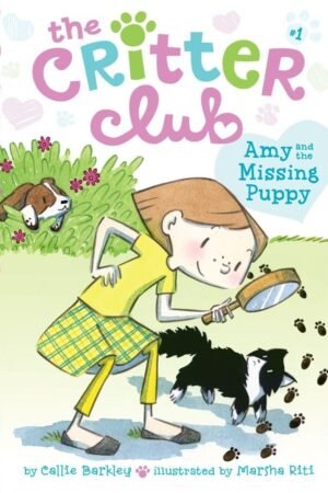 daisy dreamer and pop goes the bubble trouble by holly anna (copy)