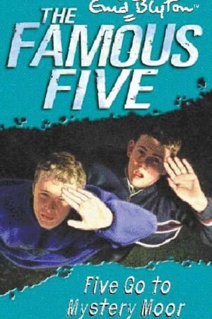 famous five: 01: five on a treasure island (standard) by enid blyton (copy)