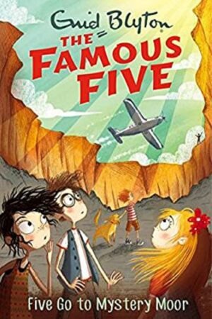 famous five: 14: five have plenty of fun (standard) by enid blyton (copy)