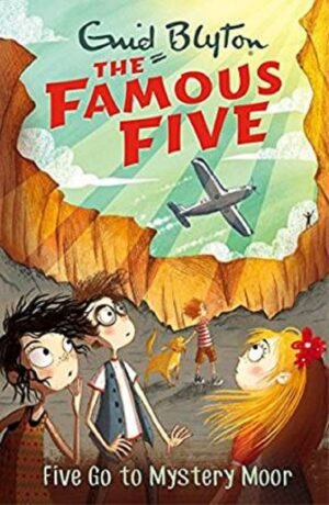 famous five: 14: five have plenty of fun (standard) by enid blyton (copy)