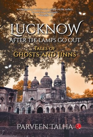 the valley of unfinished songs by umair ahmed khan (copy)