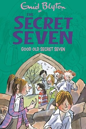 fun for the secret seven by enid blyton (copy)