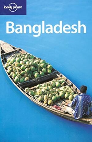 maldives (lonely planet country guides) (copy)