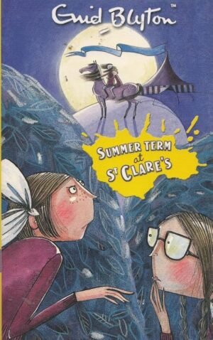 o'sullivan twins at st clares by enid blyton (copy)