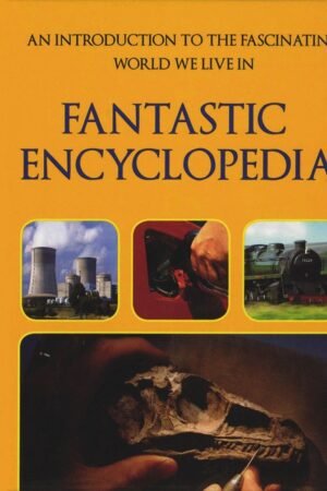 famous five: 10: five on a hike together (standard) by enid blyton (copy)