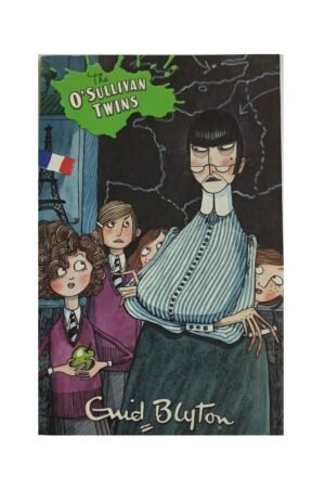 the mystery series (the find outers) 11: mystery of holly lane by enid blyton (copy)