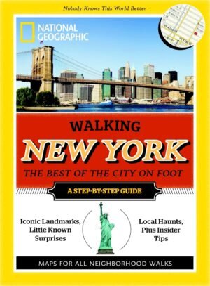 dk eyewitness travel guide: delhi, agra & jaipur (copy)