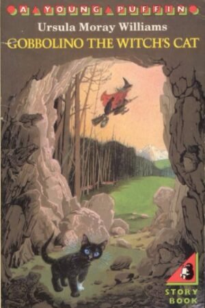 old tom goes to mars by leigh hobbs (copy)