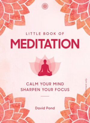 Little Book of Meditation By David Pond