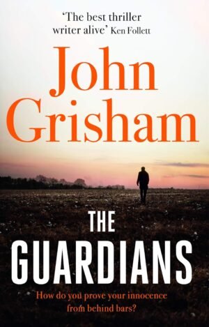 the rooster bar by john grisham (copy)