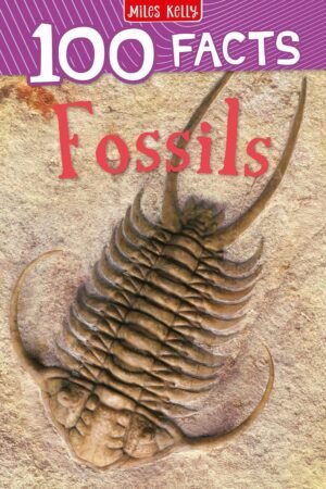 Fossils: A fun and informative children's book about fossil discoveries for kids ages 7+ (100 Facts)