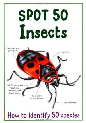 Spot 50 - Insects