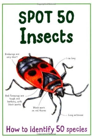 Spot 50 - Insects