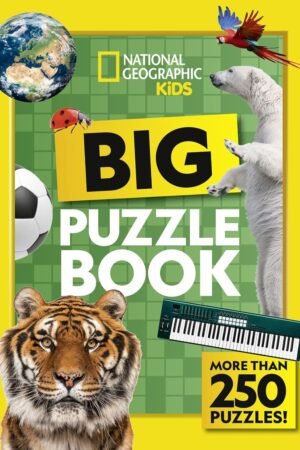 BIG PUZZLE BOOK: More than 250 brain-tickling quizzes, sudok