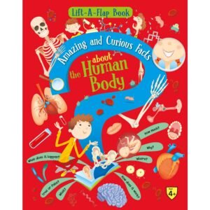 Lift A Flap Book Amazing & Curious Facts about the Human Body Hardcover