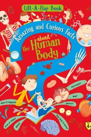 Lift A Flap Book Amazing & Curious Facts about the Human Body Hardcover