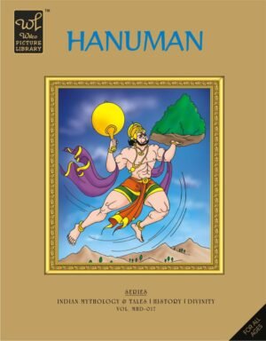 Hanuman (Wilco Picture Library)