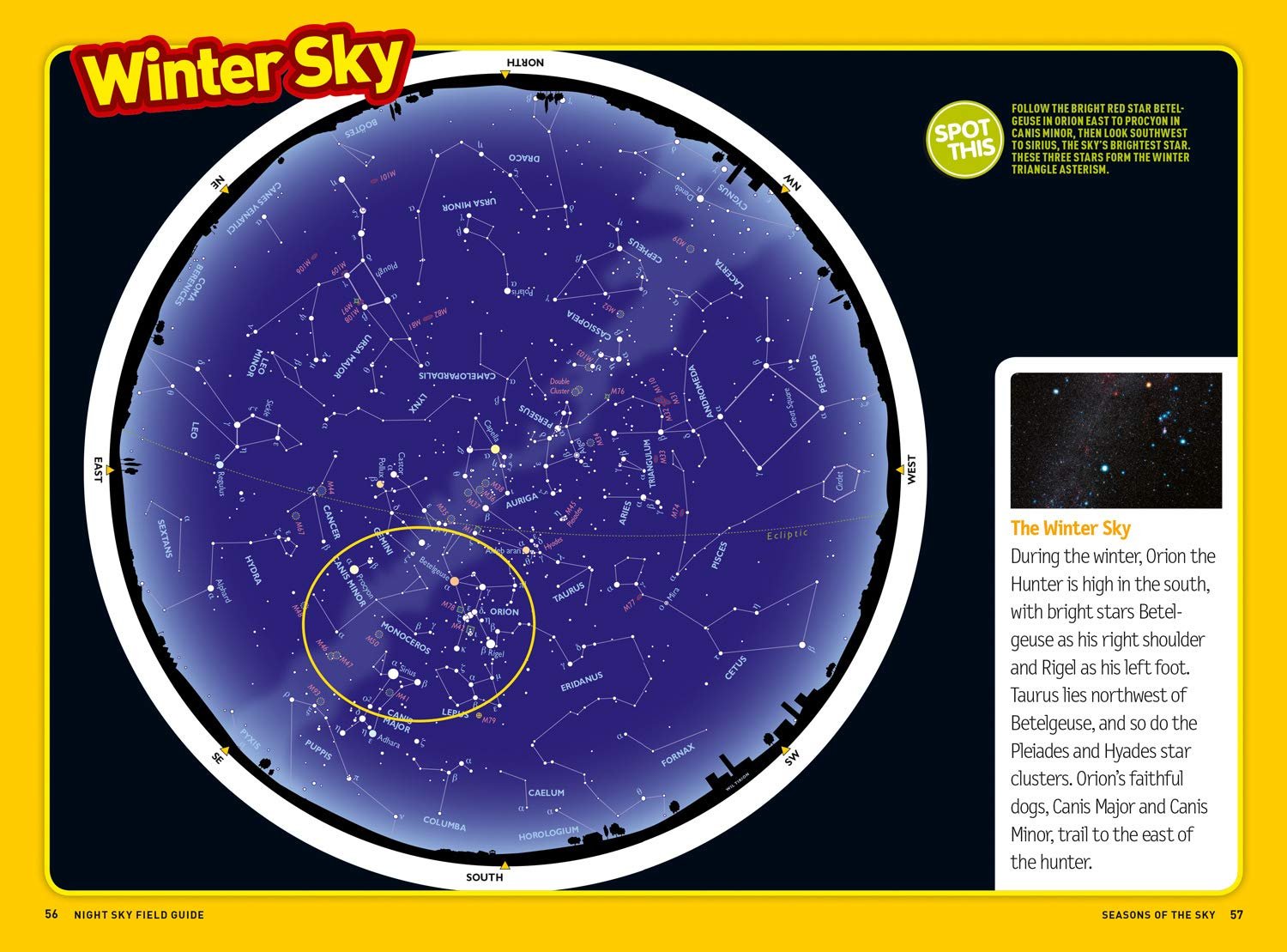 NG Kids — ULTIMATE EXPLORER FIELD GUIDES NIGHT SKY - Image 3