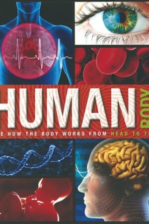 Amazing Fact Human Body Hardcover