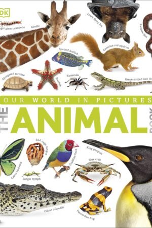 Our World in Pictures The Animal Book Hardcover